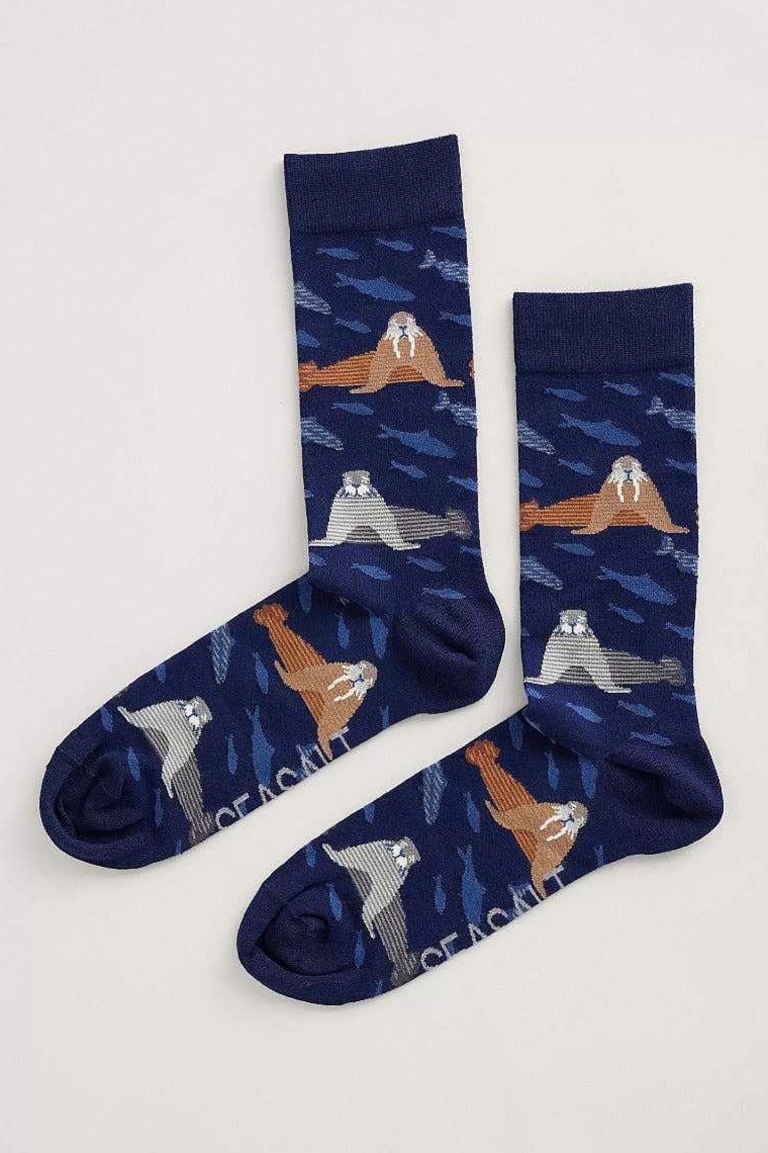 Men Seasalt Cornwall Men'S Arty Socks